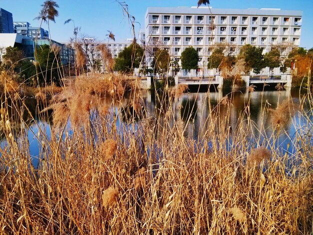 Ile trwa sanatorium poszpitalne i od czego zależy czas leczenia?